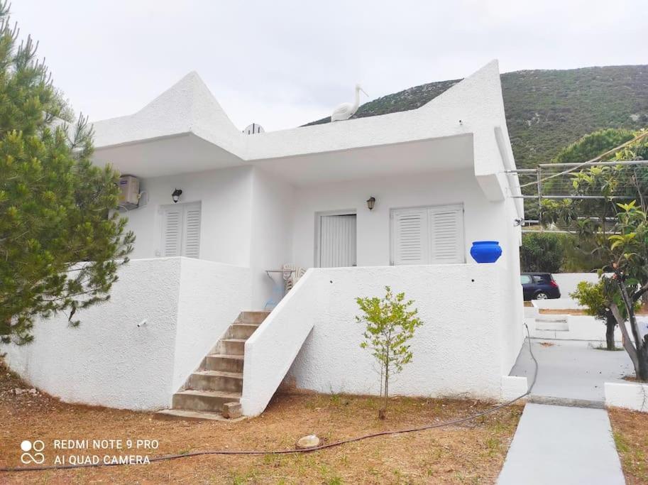 White In Olive Trees And Seaview To Panagia *