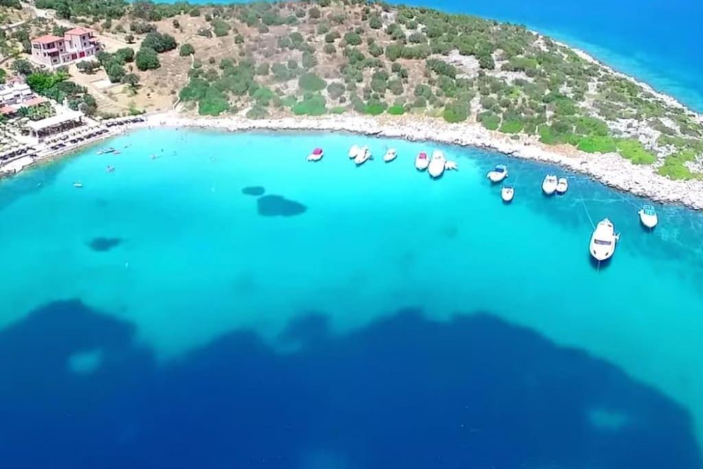 White In Olive Trees And Seaview To Panagia Дом отдыха
