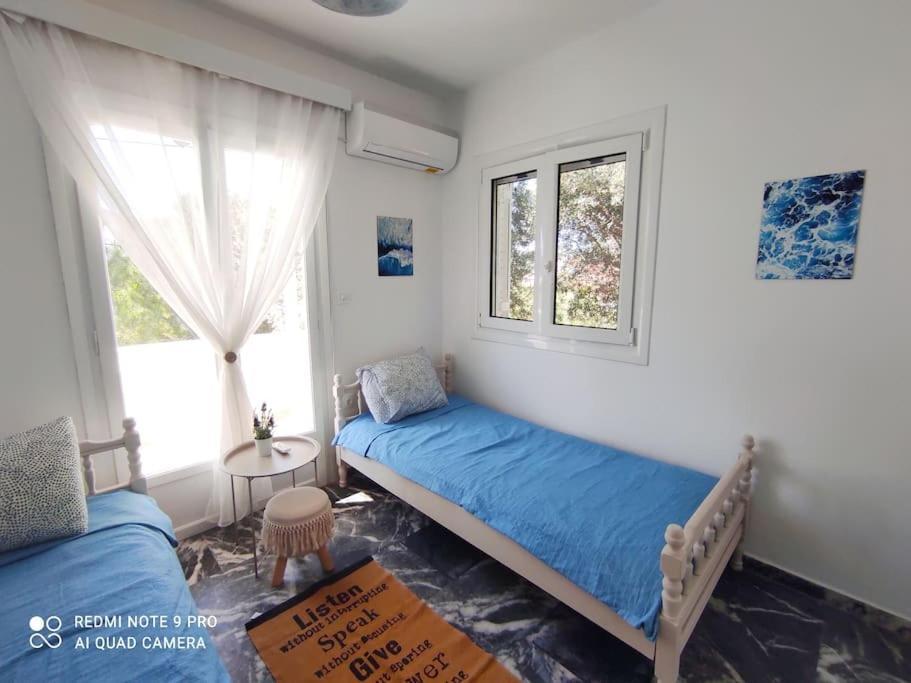 White In Olive Trees And Seaview To Panagia Holiday home