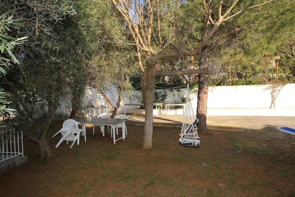 White In Olive Trees And Seaview To Panagia Holiday home Almiropotamos