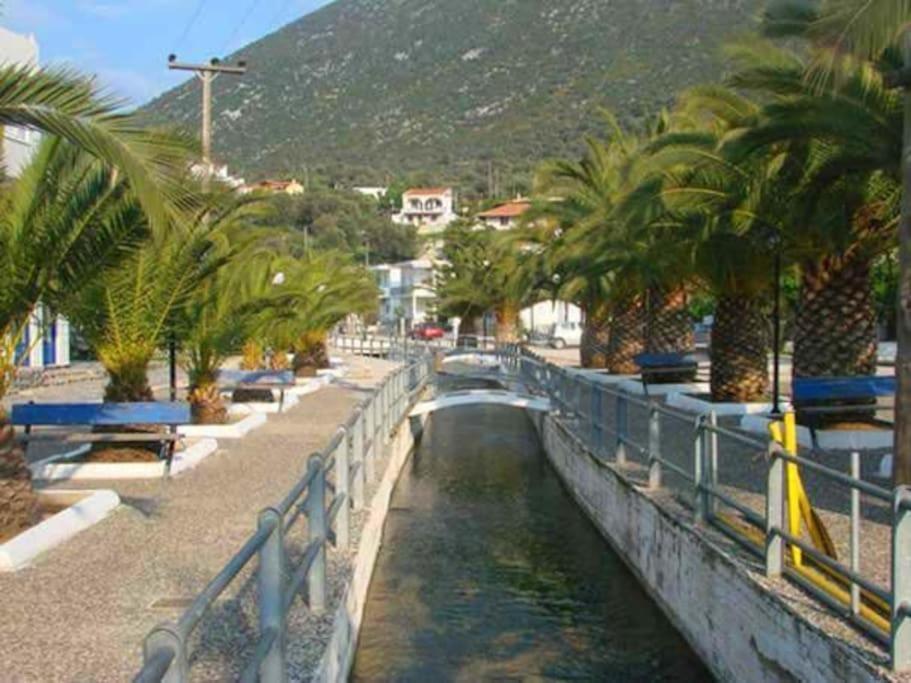 White In Olive Trees And Seaview To Panagia