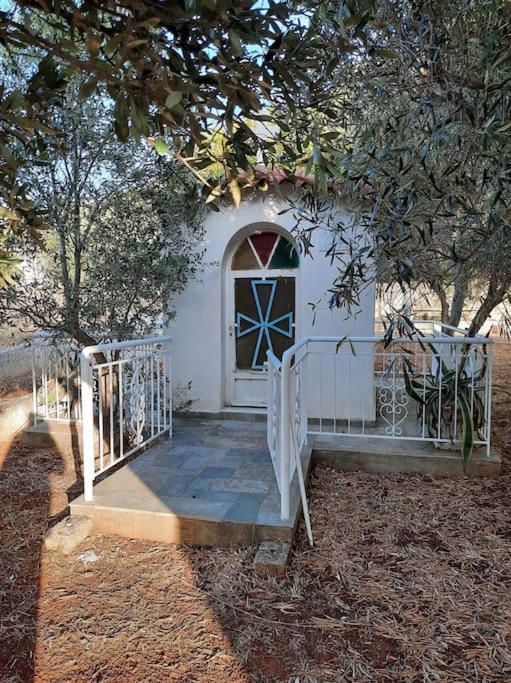 White In Olive Trees And Seaview To Panagia Holiday home Almiropotamos