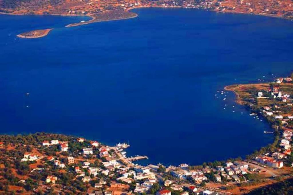 White In Olive Trees And Seaview To Panagia Holiday home