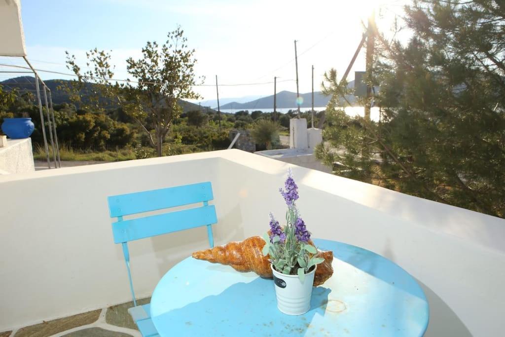 White In Olive Trees And Seaview To Panagia