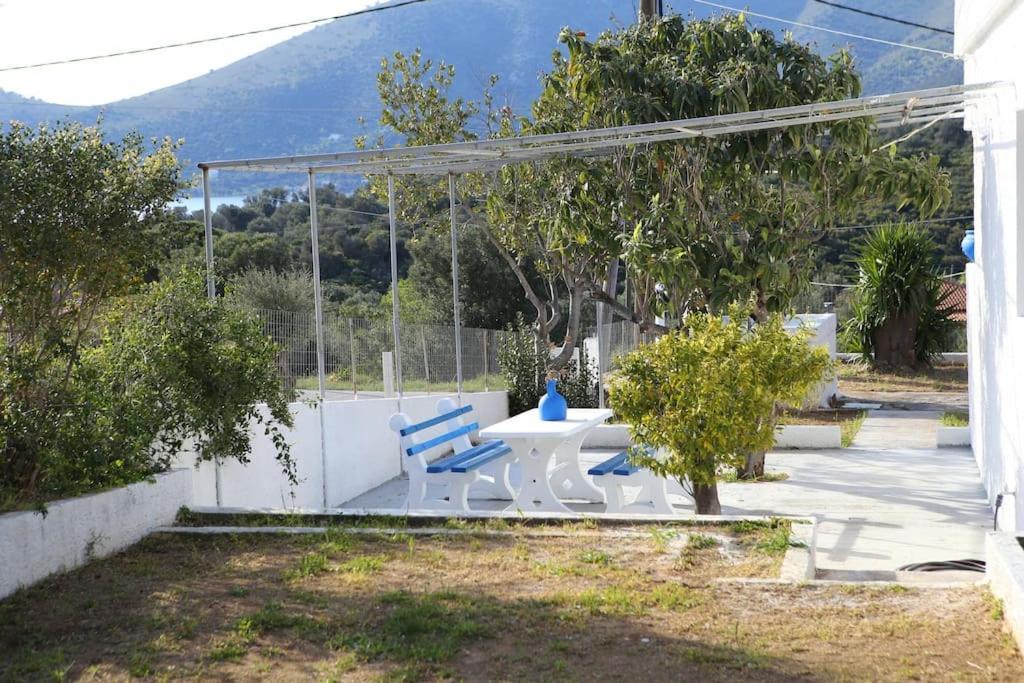White In Olive Trees And Seaview To Panagia Almiropotamos