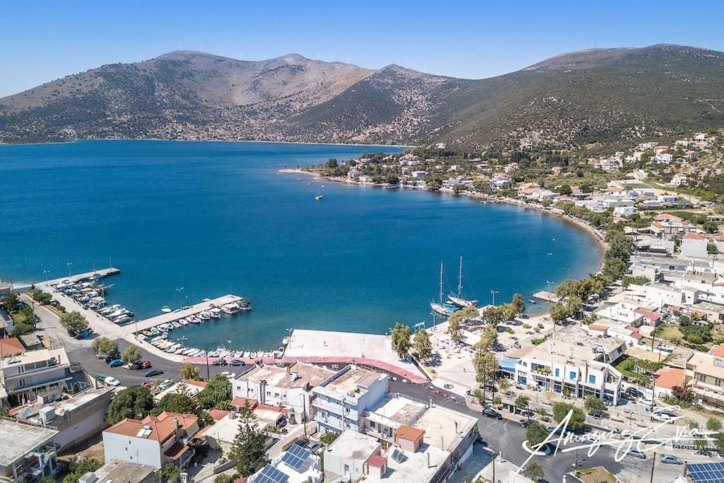 White In Olive Trees And Seaview To Panagia Almiropotamos