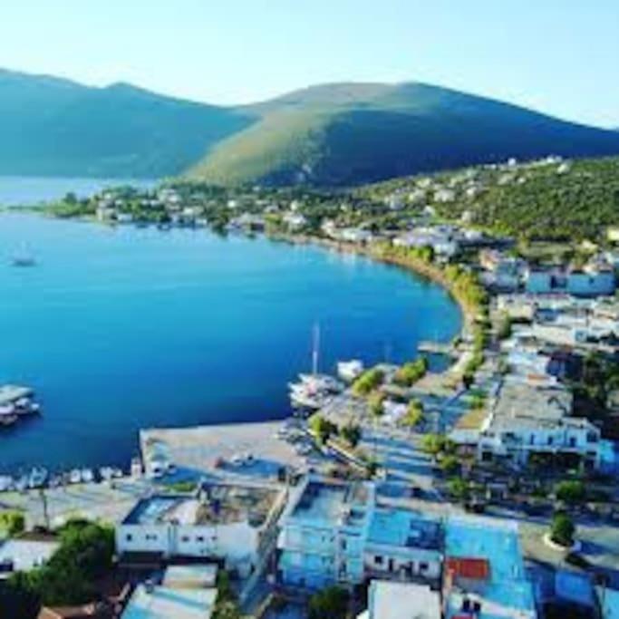 White In Olive Trees And Seaview To Panagia *