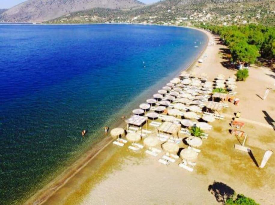 Holiday home White In Olive Trees And Seaview To Panagia *