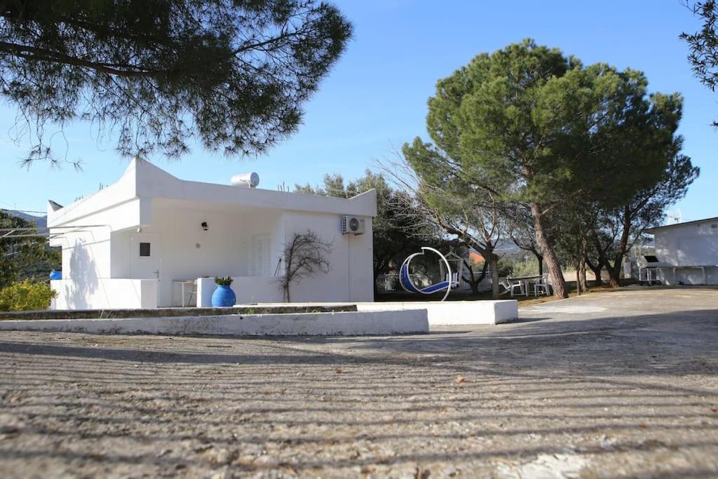 White In Olive Trees And Seaview To Panagia *