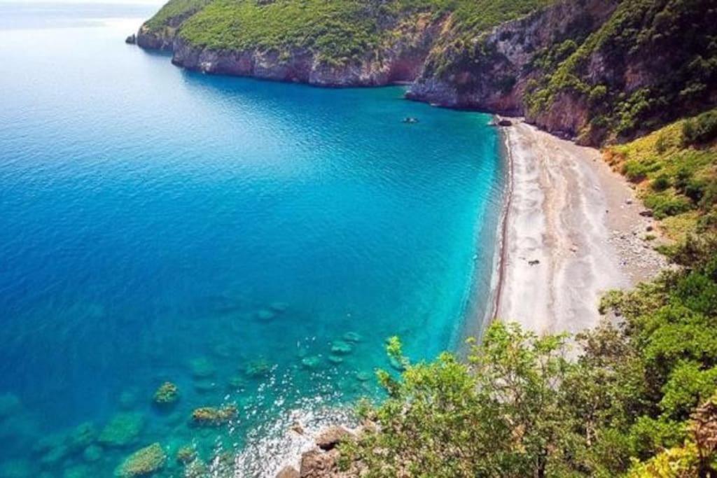 Дом отдыха White In Olive Trees And Seaview To Panagia